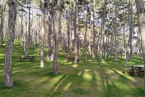 Çubuk 1 Barajı Rekreasyon Alanı - Resim 6