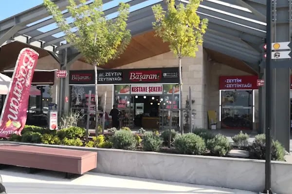 Başaran Zeytinleri - Resim 2