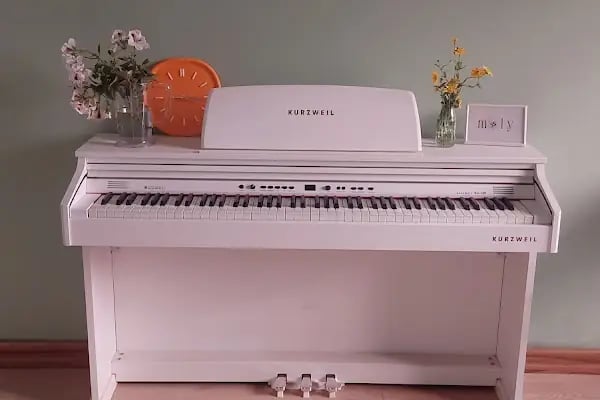 Moly Sanat - Bakırköy Müzik Resim Kursu - Resim 6