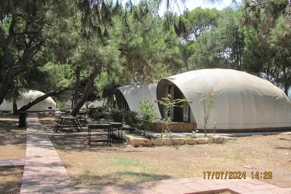 DKMP Erdemli Çamlığı (Talat Göktepe) Tabiat Parkı - Resim 3