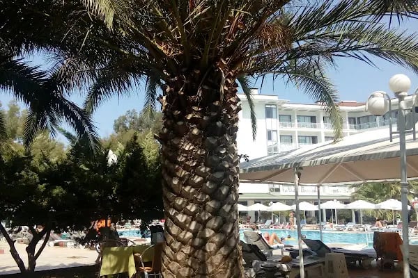 Halic Park Dikili - Resim 18