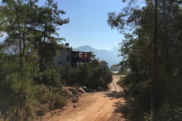 Çıplak lı yaşam alanı parkı - Resim 13
