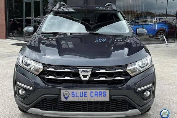 SAKARYA BLUE CARS ARAÇ KİRALAMA HİZMETi - Resim 6