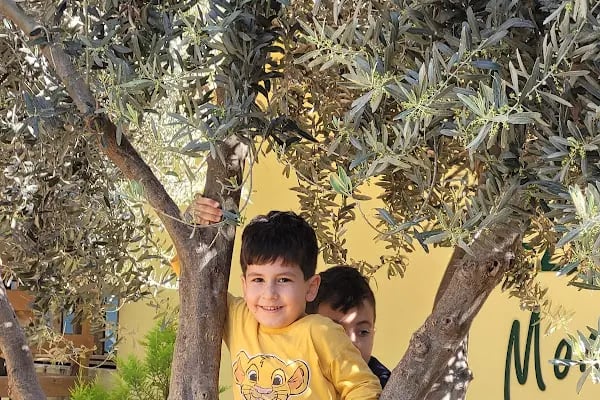 Nezihe kürkcü montessori anaokulu - Resim 4