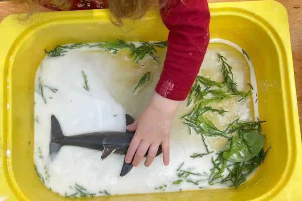 Nezihe kürkcü montessori anaokulu - Resim 19