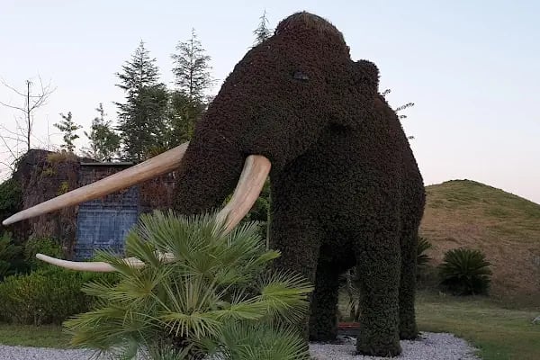 EXPO ANTALYA 7 BÖLGE RESTORANLAR CADDESİ - Resim 7