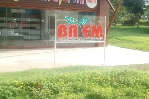 EXPO ANTALYA 7 BÖLGE RESTORANLAR CADDESİ - Resim 8