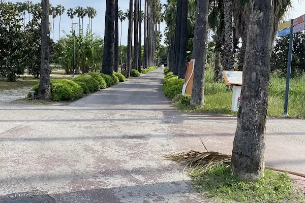 ÇBTM / Çocuk Bilim ve Teknoloji Merkezi - Resim 7