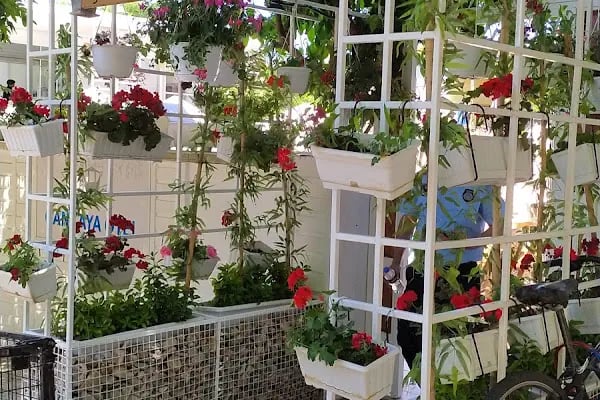 Büyükada Çankaya Otel - Resim 13