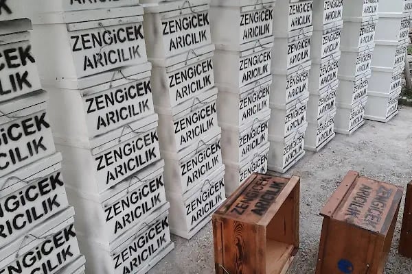 Zengicek Arıcılık - Resim 14