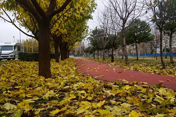 Paten Parkı - Resim 5