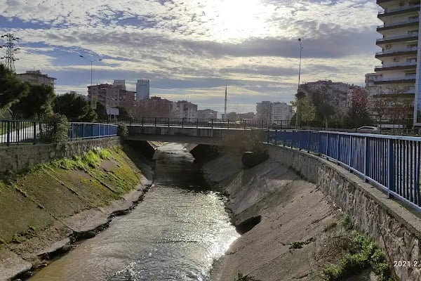 Paten Parkı - Resim 6