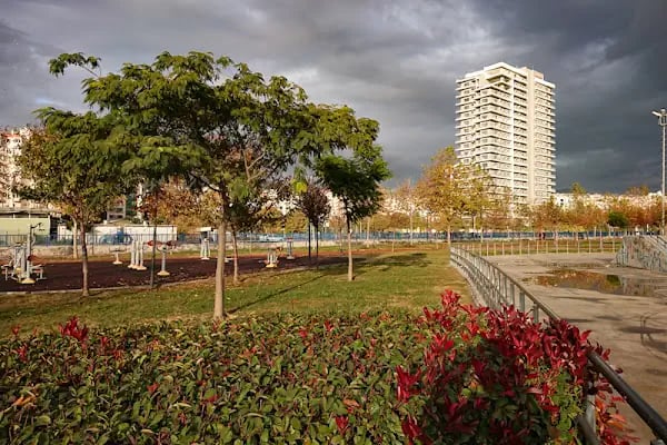 Paten Parkı - Resim 18