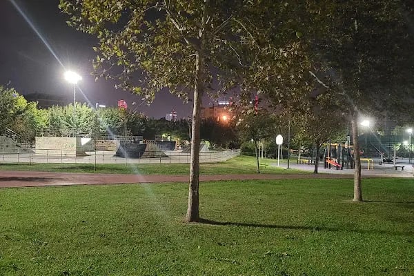 Paten Parkı - Resim 4
