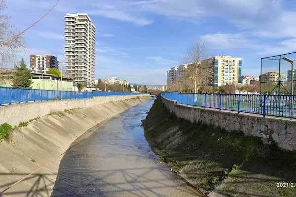 Paten Parkı - Resim 13