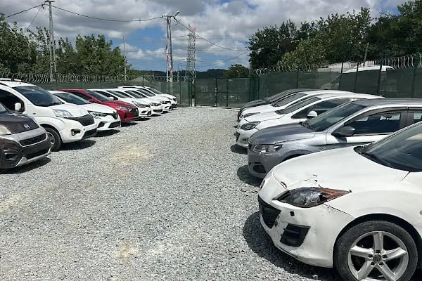 NESİL CAR - Resim 4