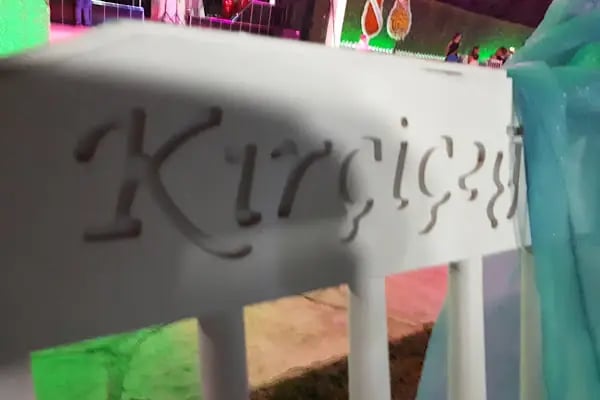 Kaynaklar Kır Çiçeği - Resim 4