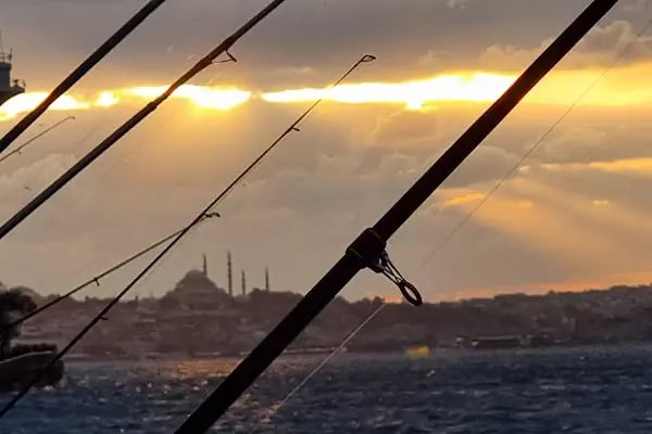 Budo Bursa Deniz Otobüsleri - Resim 20