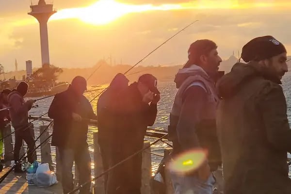Budo Bursa Deniz Otobüsleri - Resim 17