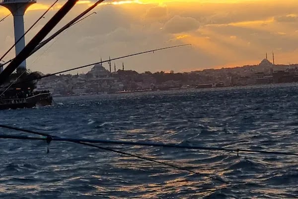Budo Bursa Deniz Otobüsleri - Resim 11