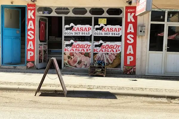 Söğüt kasap - Resim 3