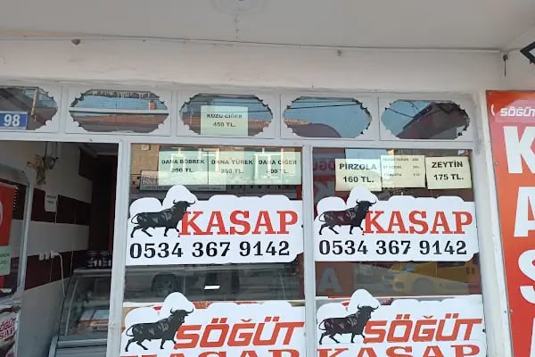 Söğüt kasap - Resim 2
