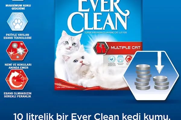 ÖZLEM PETSHOP &amp;AKVARYUM - Resim 17