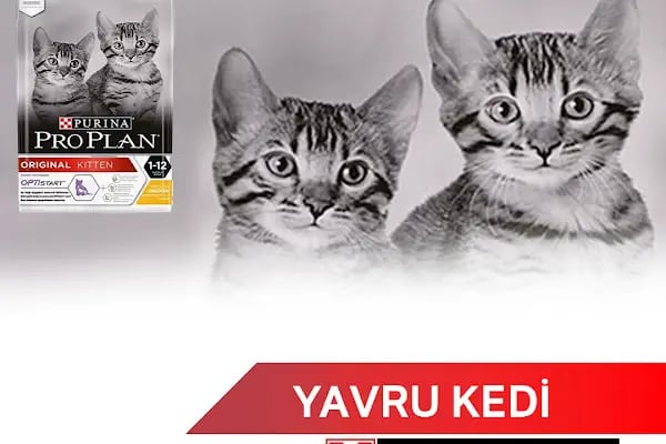 ÖZLEM PETSHOP &amp;AKVARYUM - Resim 9