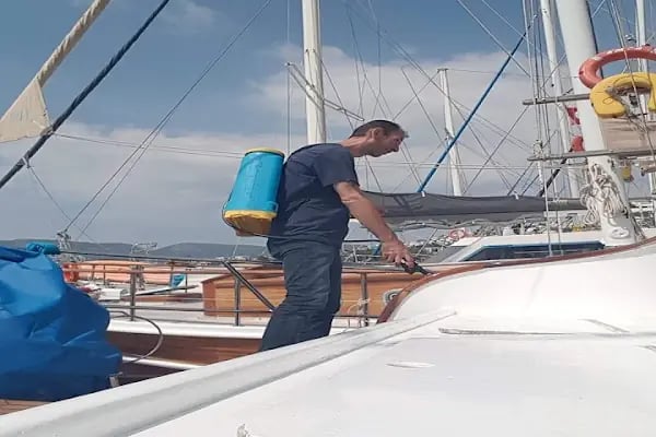 Haşere Avcısı Pest Hunter | Böcek İlaçlama - Haşere İlaçlama - Ev Ve Otel İlaçlama - Resim 2