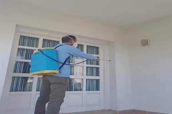 Haşere Avcısı Pest Hunter | Böcek İlaçlama - Haşere İlaçlama - Ev Ve Otel İlaçlama - Resim 5