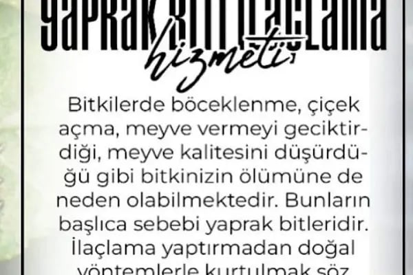 Haşere Avcısı Pest Hunter | Böcek İlaçlama - Haşere İlaçlama - Ev Ve Otel İlaçlama - Resim 15