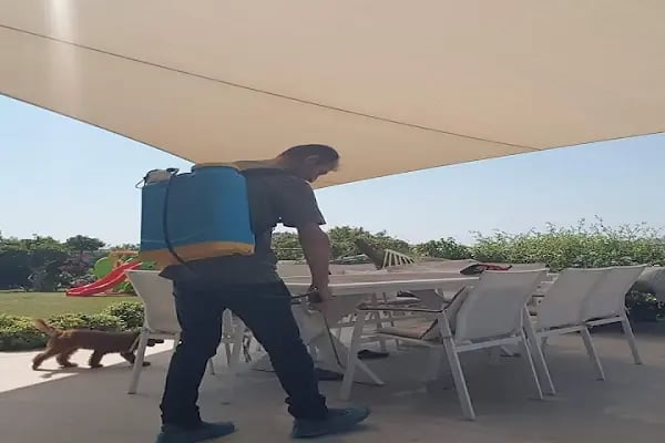 Haşere Avcısı Pest Hunter | Böcek İlaçlama - Haşere İlaçlama - Ev Ve Otel İlaçlama - Resim 6