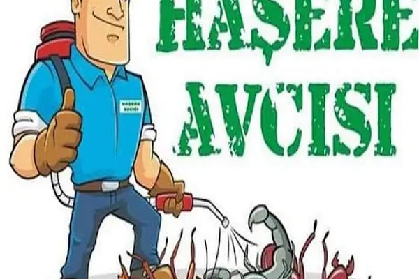 Haşere Avcısı Pest Hunter | Böcek İlaçlama - Haşere İlaçlama - Ev Ve Otel İlaçlama - Resim 14