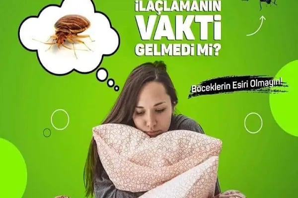 Haşere Avcısı Pest Hunter | Böcek İlaçlama - Haşere İlaçlama - Ev Ve Otel İlaçlama - Resim 9
