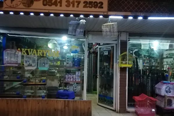 Yılmaz Akvaryum Av Bayii - Resim 2