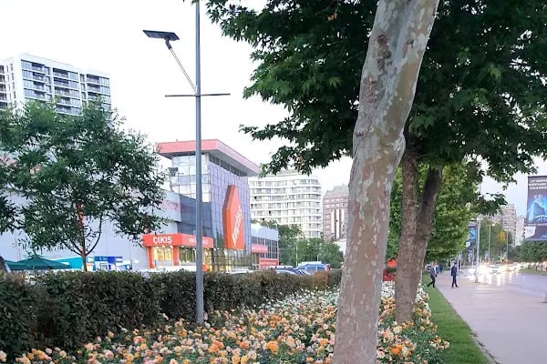 Marina Dragos Yelken İhtisas Kulübü - Resim 15