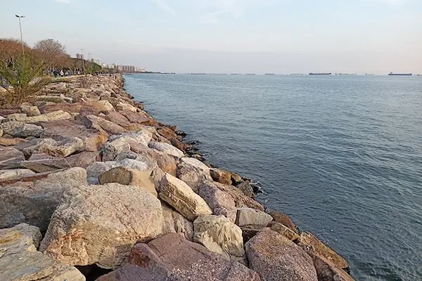 Marina Dragos Yelken İhtisas Kulübü - Resim 5