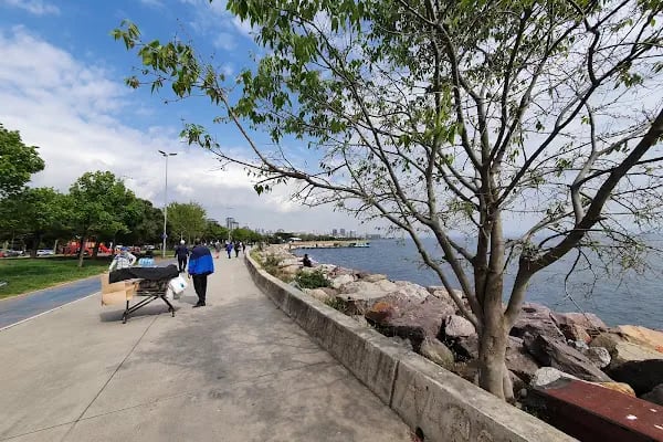 Marina Dragos Yelken İhtisas Kulübü - Resim 19