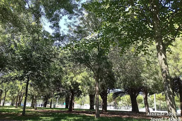 Marina Dragos Yelken İhtisas Kulübü - Resim 6
