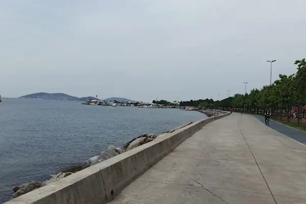 Marina Dragos Yelken İhtisas Kulübü - Resim 18