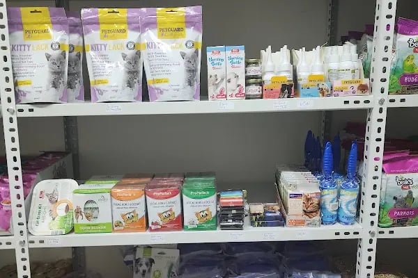 Avcılar Sempati Petshop - Resim 8