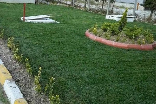 Çalışkanlar Tarım Haşere İlaçlama - Resim 2