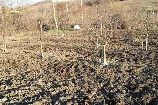 Çalışkanlar Tarım Haşere İlaçlama - Resim 7