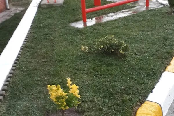 Çalışkanlar Tarım Haşere İlaçlama - Resim 11