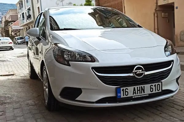 BARRAKKUDA PASTA CİLA - Resim 2