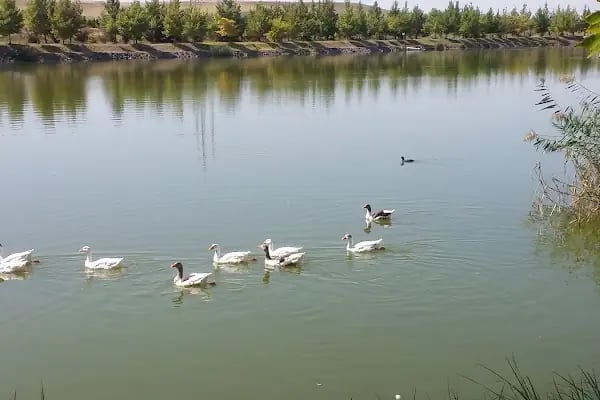 Anadolu Organize Sanayi Bölgesi Müdürlüğü - Resim 16