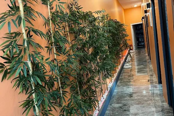 Yalıkavak Veteriner - Patibazz Veteriner Kliniği - Resim 12