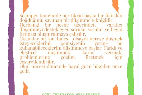 Çerkezköy Özel Neşe Erberk Anaokulu - Resim 9