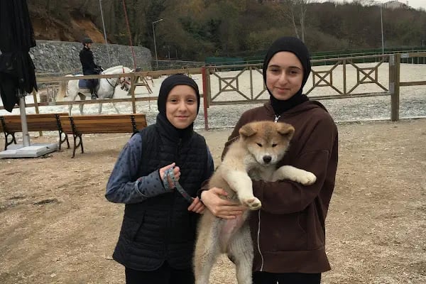 Eyüpsultan ATLI Sporlar Derneği (Atlı Okçuluk ve Binicilik Merkezi) ESATLIDER - Resim 9