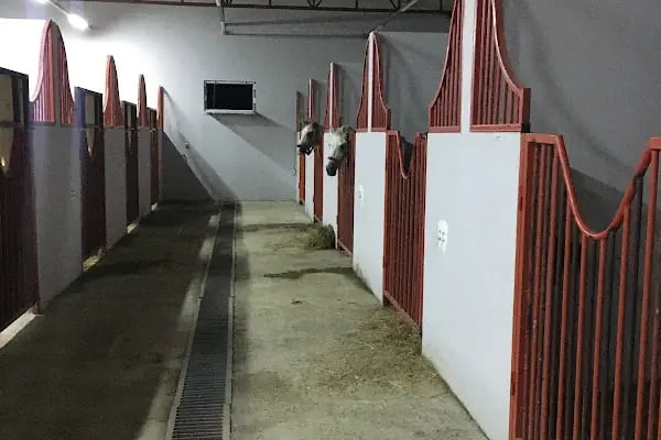 Eyüpsultan ATLI Sporlar Derneği (Atlı Okçuluk ve Binicilik Merkezi) ESATLIDER - Resim 5